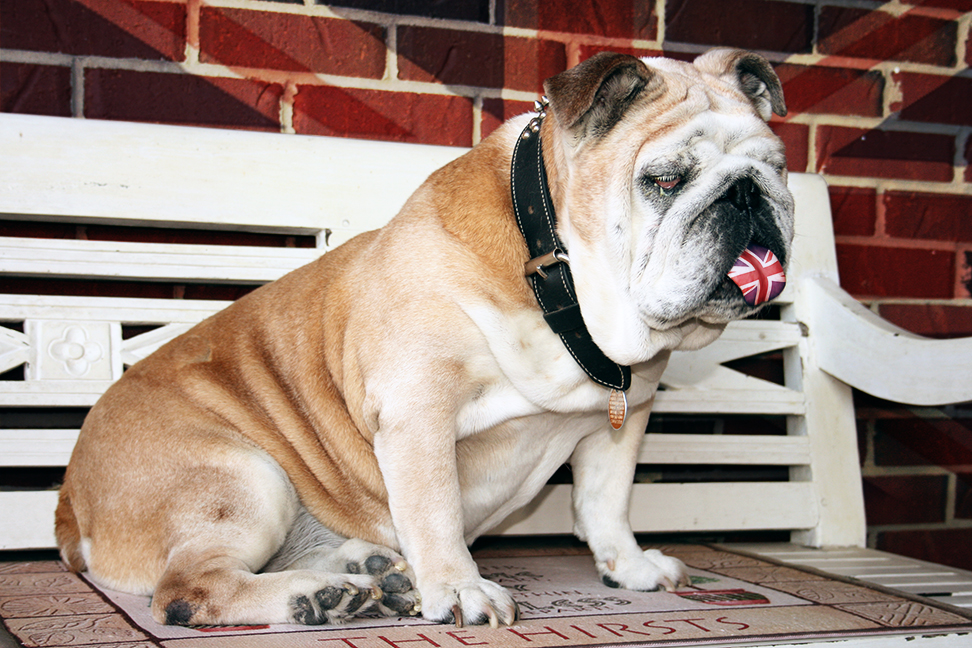 Photoshop-Design von nocturnal654 für DesignCrowd (Community Contests) | Design #8975422