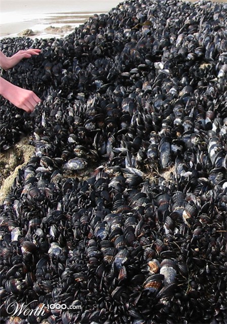 Photography by ClickChick