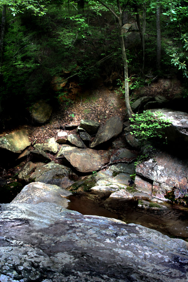 Photography by Viciousvixievenus for DesignCrowd (Community Contests) | Design #8975036