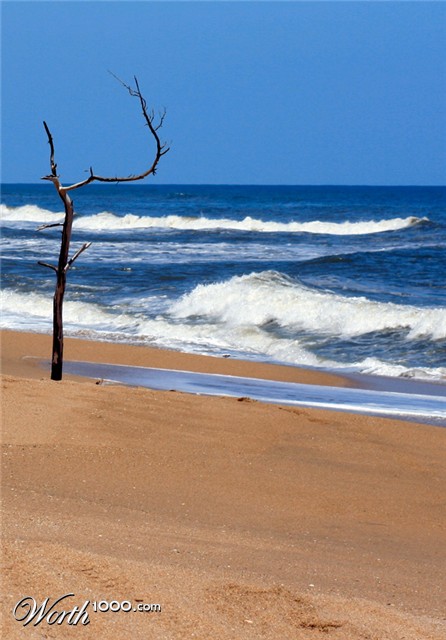 Photography by Viciousvixievenus