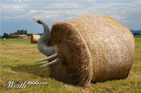 Photoshop Design by Lsgenie