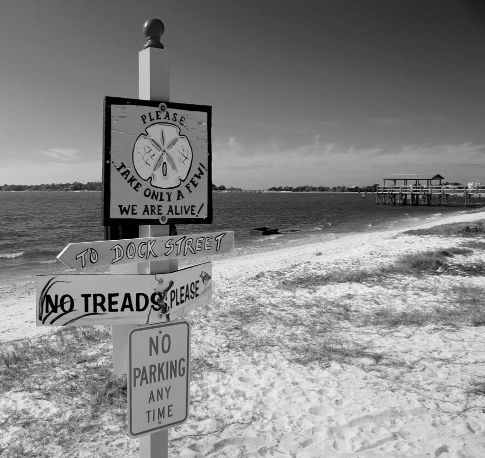 Photography by pinkfly for DesignCrowd (Community Contests) | Design #8974462