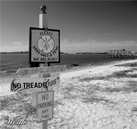 Photography by pinkfly