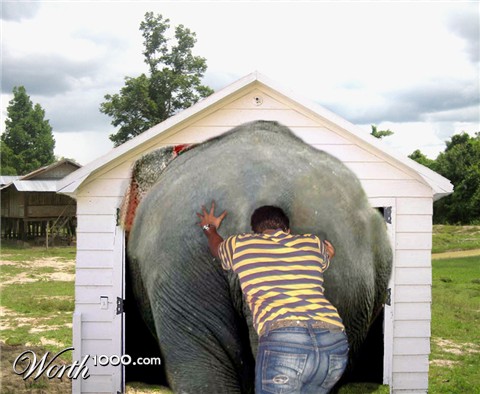 Photoshop Design by Gypzee