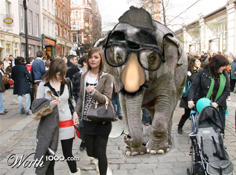 Photoshop Design by muratz