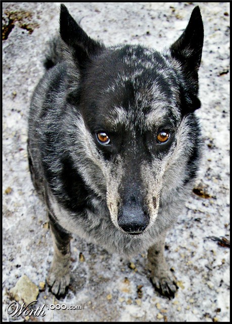 Photography by GoldenWreckedAngle