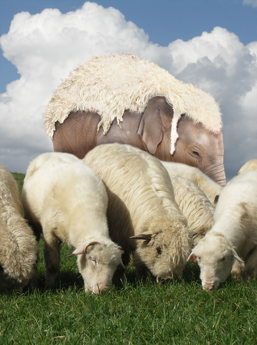 Diseño de Photoshop por MadsDK para DesignCrowd (Community Contests) | Diseño #8979752