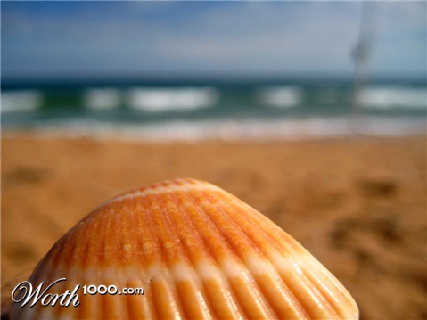 Photography by hollistereagle8