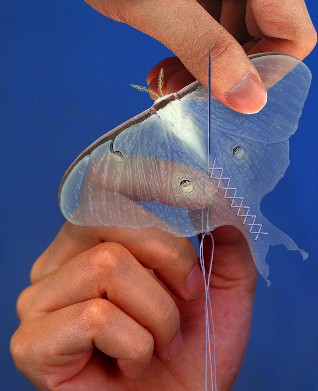 Photoshop Design by luise1 for DesignCrowd (Community Contests) | Design #8972496