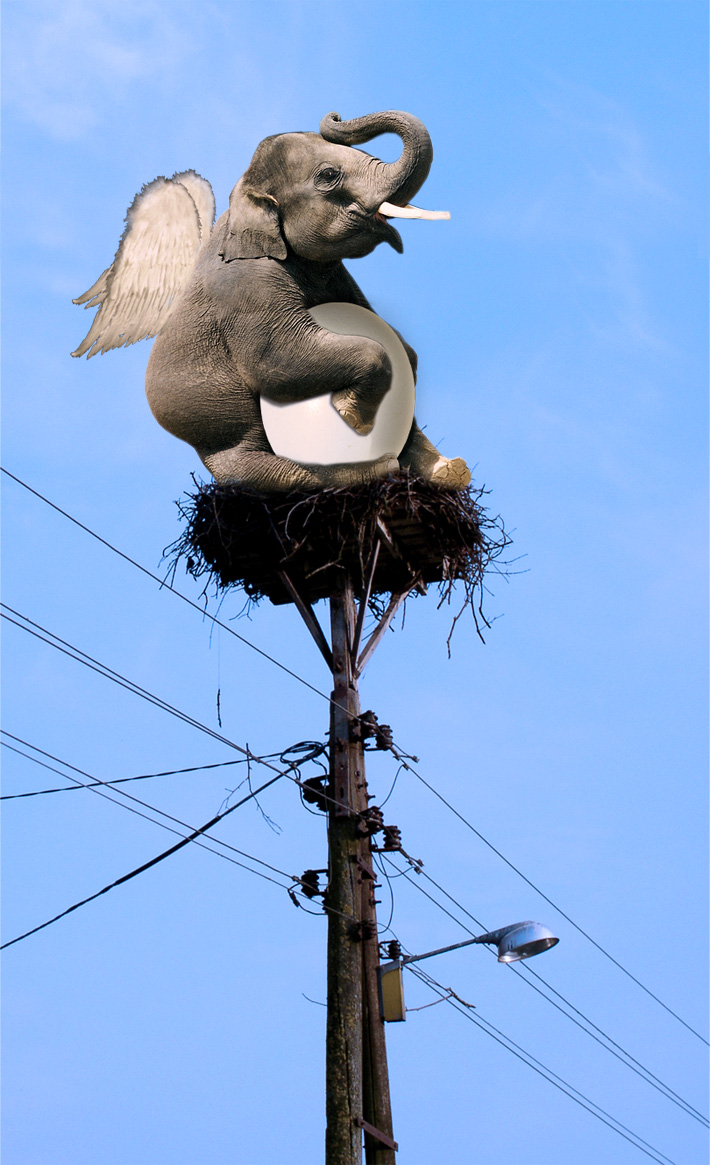 Design Photoshop par lostlittlegirl pour DesignCrowd (Community Contests) | Design #8979838