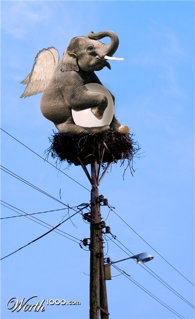 Photoshop Design by lostlittlegirl