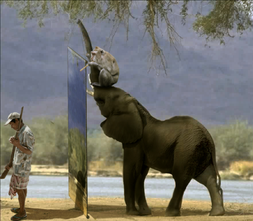 Photoshop Design by Mushon for DesignCrowd (Community Contests) | Design #8979832