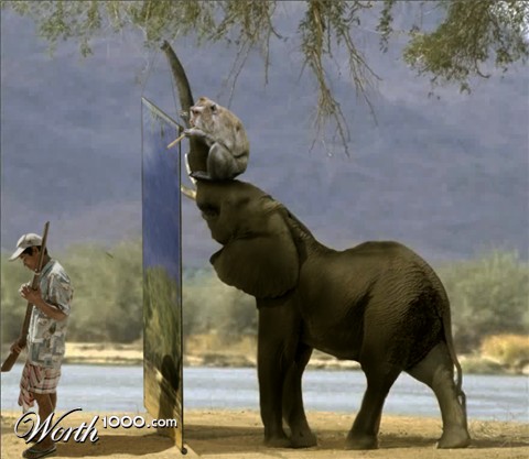 Photoshop Design by Mushon