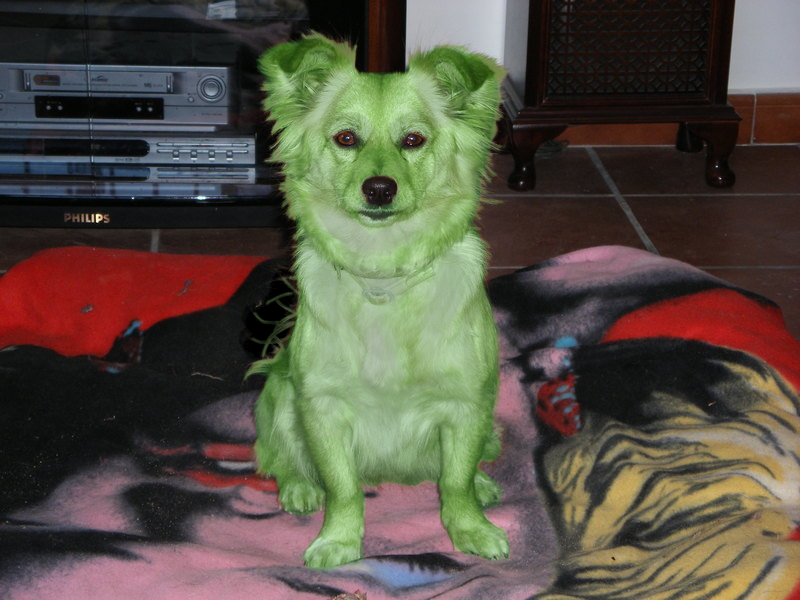 Diseño de Photoshop por lunke13 para DesignCrowd (Community Contests) | Diseño #8975312