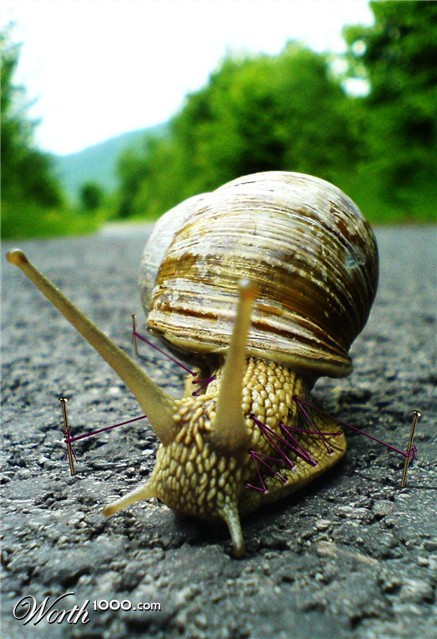 Photoshop Design by MadsDK
