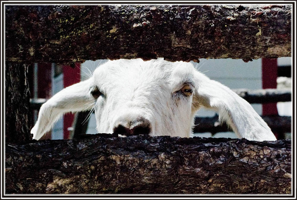 Fotografía por ClickChick para DesignCrowd (Community Contests) | Diseño #8972145