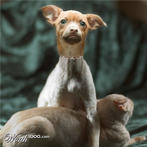 Photoshop Design by Biddee