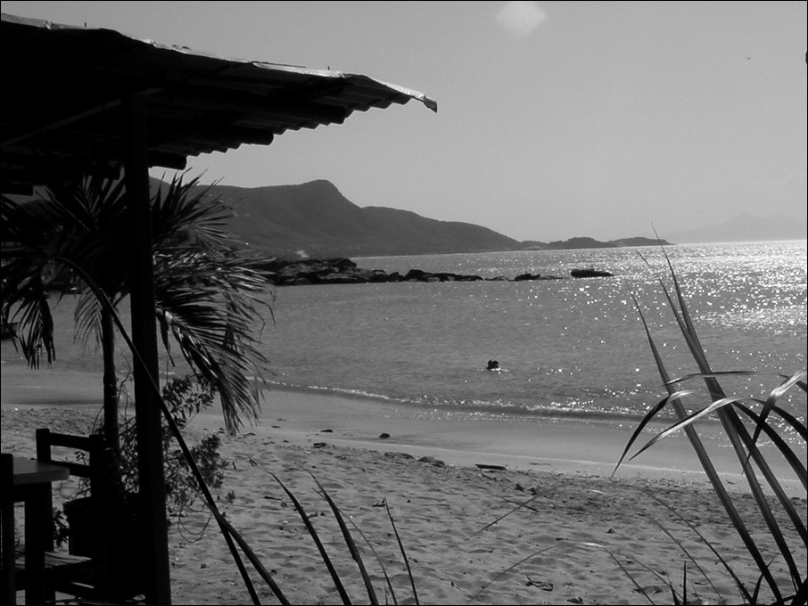Photography by LicenBellita for DesignCrowd (Community Contests) | Design #8974522