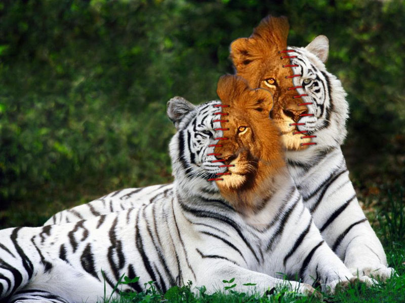 Design Photoshop par colleague pour DesignCrowd (Community Contests) | Design #8972608