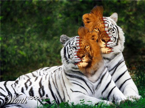 Photoshop Design by colleague