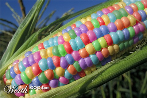 Photoshop Design by briannelsonhulme