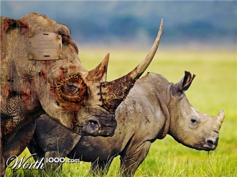 Photoshop Design by Nikouf