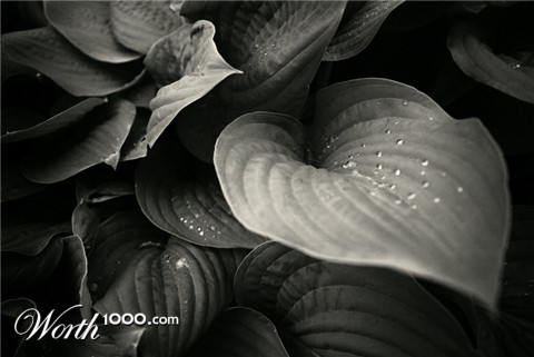 Photography by silversprej