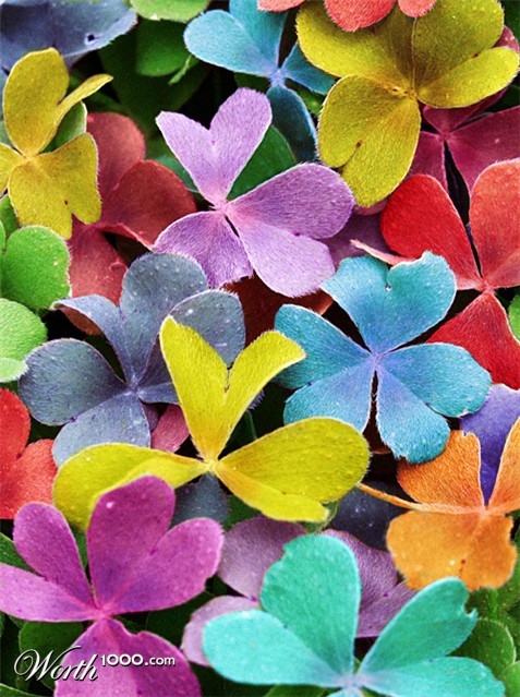 Photoshop Design by Stadsman