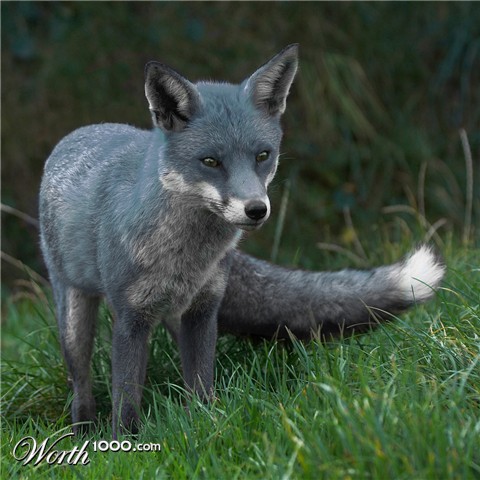 Photoshop Design by RavenNight