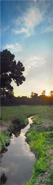 Photography by Fishcat