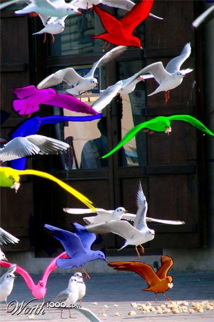 Photoshop Design by KSTARRATSK