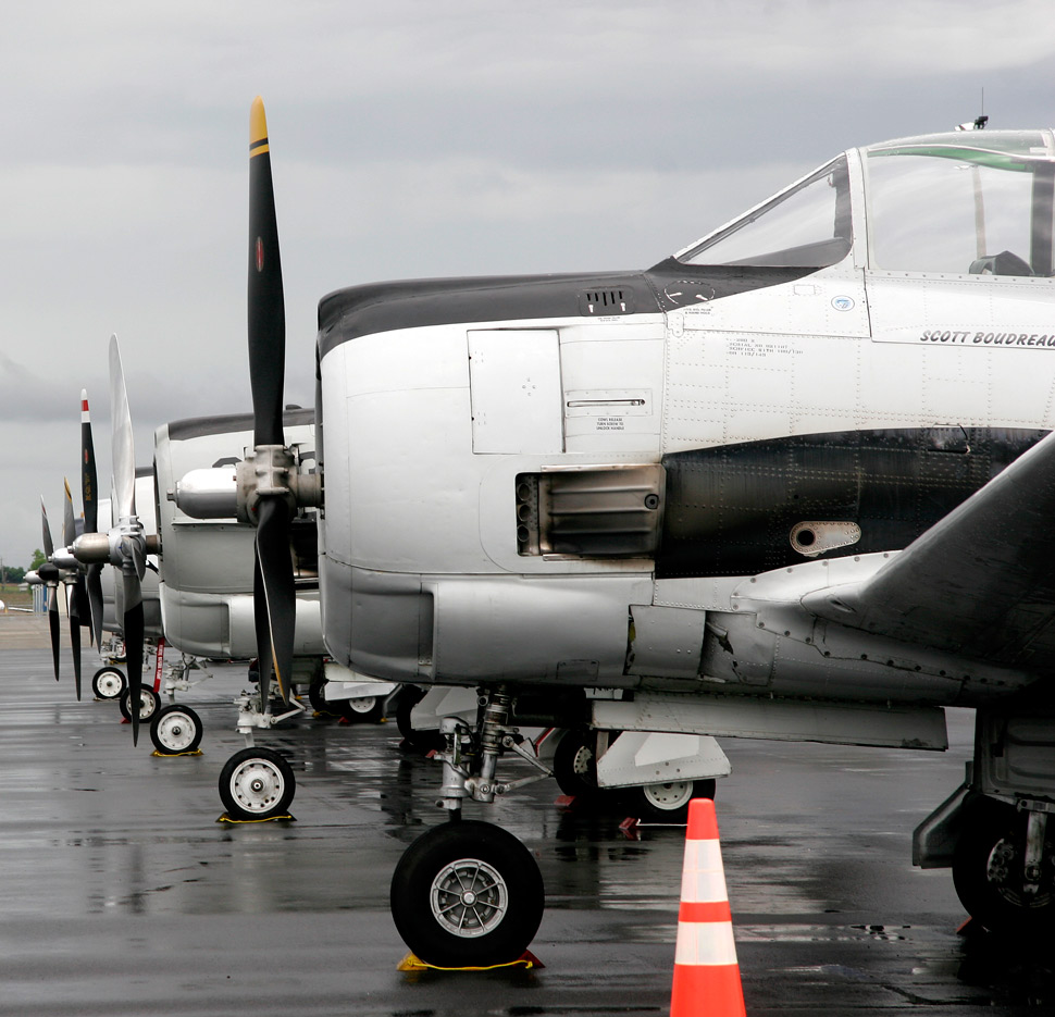 Photography by pinkfly for DesignCrowd (Community Contests) | Design #8972179