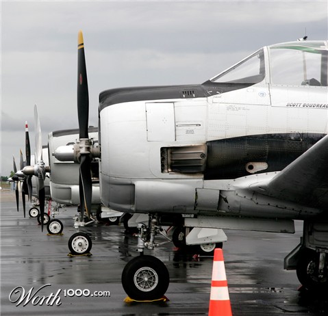 Photography by pinkfly