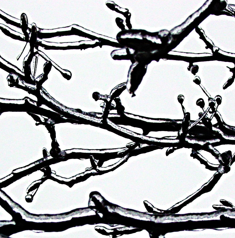 Fotografía por soulinferno13 para DesignCrowd (Community Contests) | Diseño #8972149