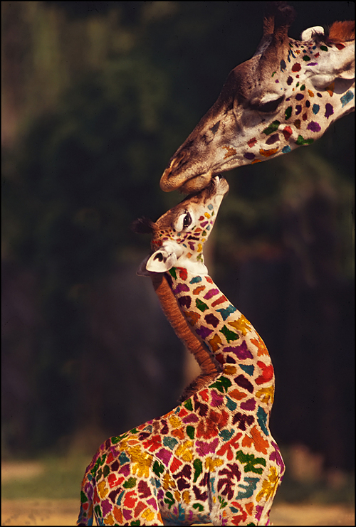 Photoshop-Design von Flimzer für DesignCrowd (Community Contests) | Design #8975813