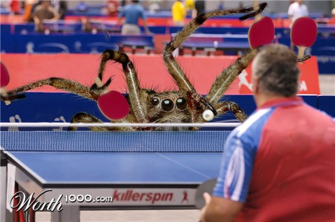 Photoshop Design by Jobjansweijer