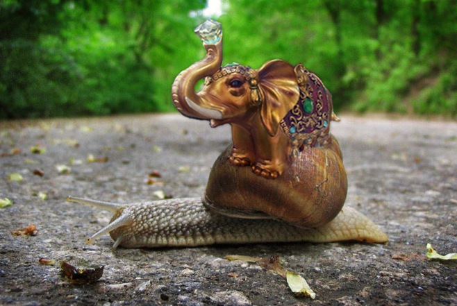 Photoshop Design by Valiusha for DesignCrowd (Community Contests) | Design #8974251