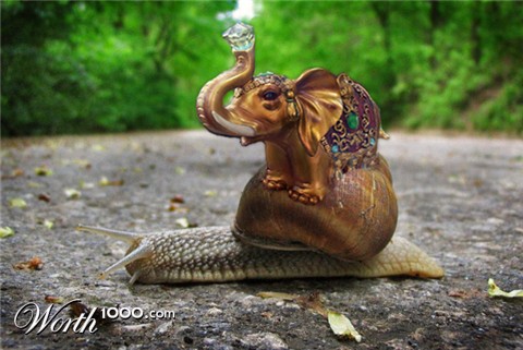 Photoshop Design by Valiusha