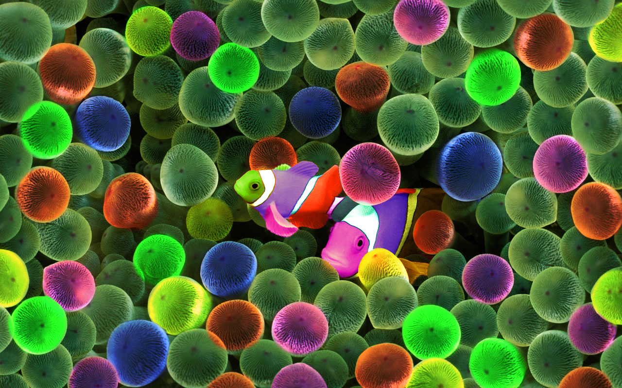 Diseño de Photoshop por moxo71 para DesignCrowd (Community Contests) | Diseño #8975845