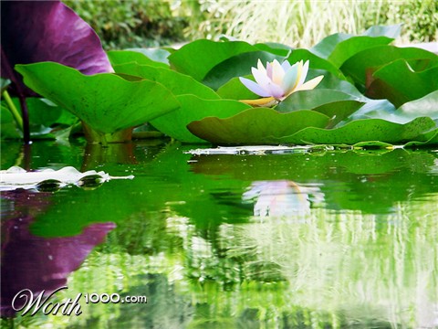 Photoshop Design by RyNODel