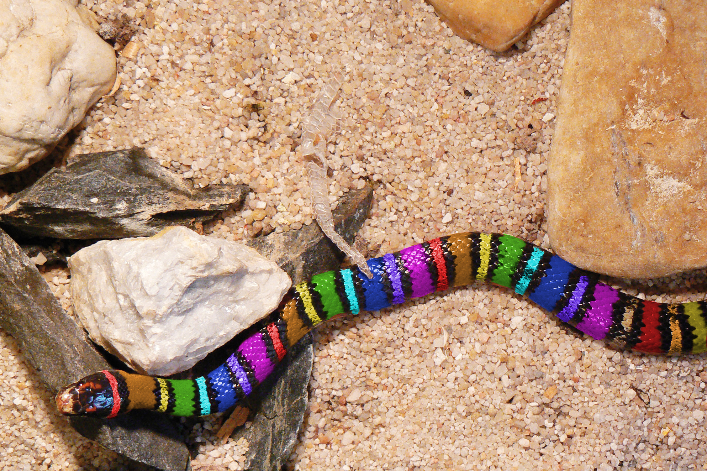 Photoshop Design by WorthyNick for DesignCrowd (Community Contests) | Design #8975980