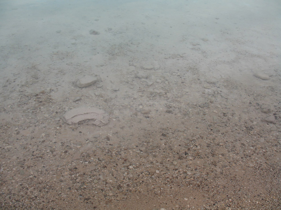 Photography by tcb4redsox for DesignCrowd (Community Contests) | Design #8974527