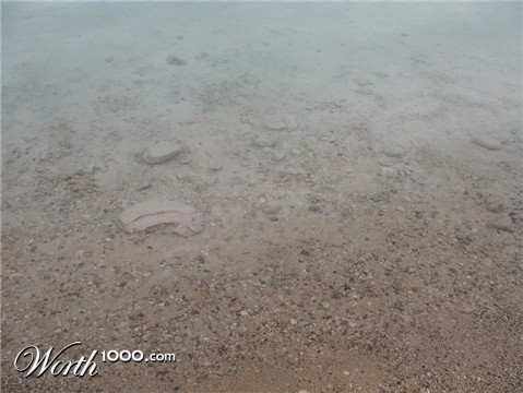 Photography by tcb4redsox