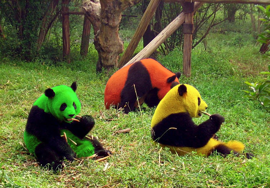 Photoshop Design by Mushon for DesignCrowd (Community Contests) | Design #8975988