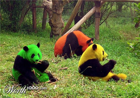 Photoshop Design by Mushon