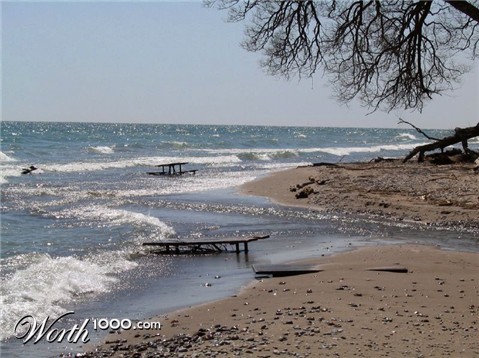 Photography by bailiee