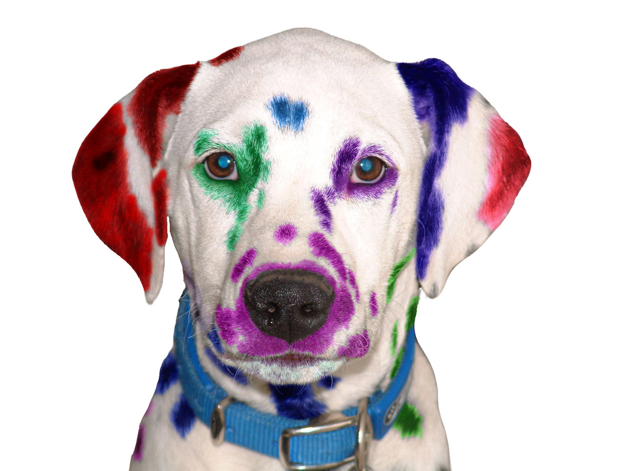 Photoshop Design by Sugar99 for DesignCrowd (Community Contests) | Design #8975805