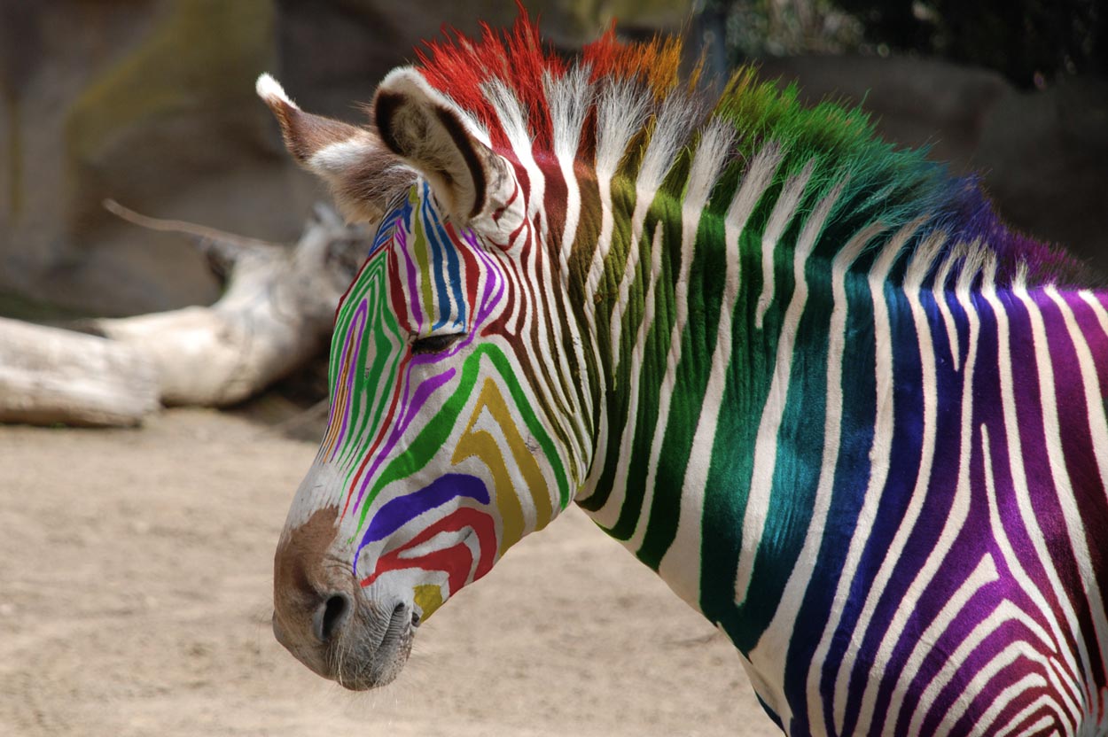 Diseño de Photoshop por Tinkuuu para DesignCrowd (Community Contests) | Diseño #8975861