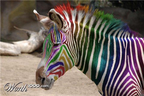 Photoshop Design by Tinkuuu