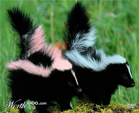 Photoshop Design by ConnieB